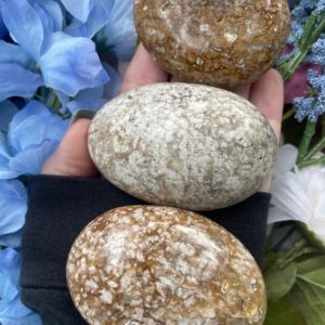 Fossil Agate, Fossil Agate Palm Stone Crystal Healing, Qty. 1 | Natural genuine stones & crystals in various shapes & sizes. Buy raw cut, tumbled, or polished gemstones for making jewelry or crystal healing energy vibration raising reiki stones. #crystals #gemstones #crystalhealing #crystalsandgemstones #energyhealing #affiliate #ad
