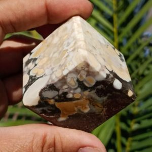 Shop Jasper Shapes! Amazing 40MM Quality Yellow King Cobra Jasper Stone Healing Spiritual Reiki Metaphysical Square Cube | Natural genuine stones & crystals in various shapes & sizes. Buy raw cut, tumbled, or polished gemstones for making jewelry or crystal healing energy vibration raising reiki stones. #crystals #gemstones #crystalhealing #crystalsandgemstones #energyhealing #affiliate #ad