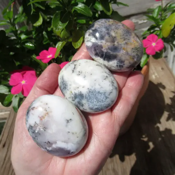 Dendritic Opal, Choose One Palm Stone, Natural Dendritic Opal From Madagascar