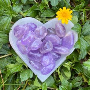 Tumbled Amethyst Stones