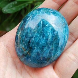 Apatite Shapes