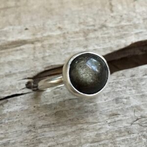 Golden Obsidian Rings Golden Obsidian Rings