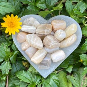 Tumbled Moonstone Stones