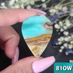 Petrified Wood Cabochons