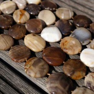 Petrified Wood Bead Shapes