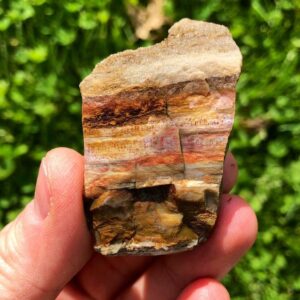 Raw Petrified Wood Crystals
