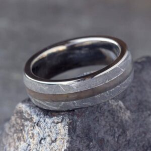 Petrified Wood Rings