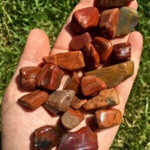Tumbled Petrified Wood Stones