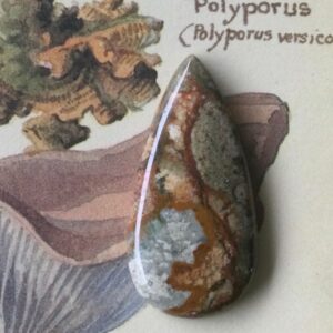 Picture Jasper Cabochons