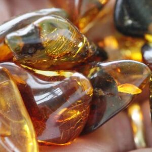 Tumbled Amber Stones