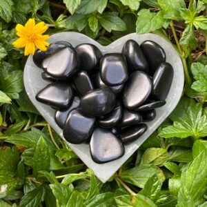 Tumbled Shungite Stones