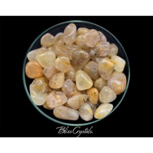 Gold Rutilated Quartz Tumbled Stone 1 Large #gq09