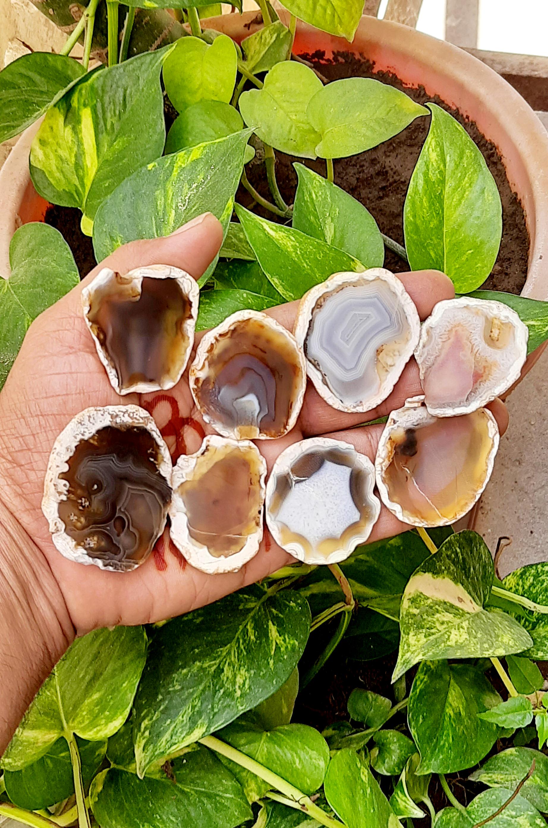Natural Agate Polished Plate Gemstone:agate Small Coaster Plate For Pendent Cabochon Healing Gift Decorative