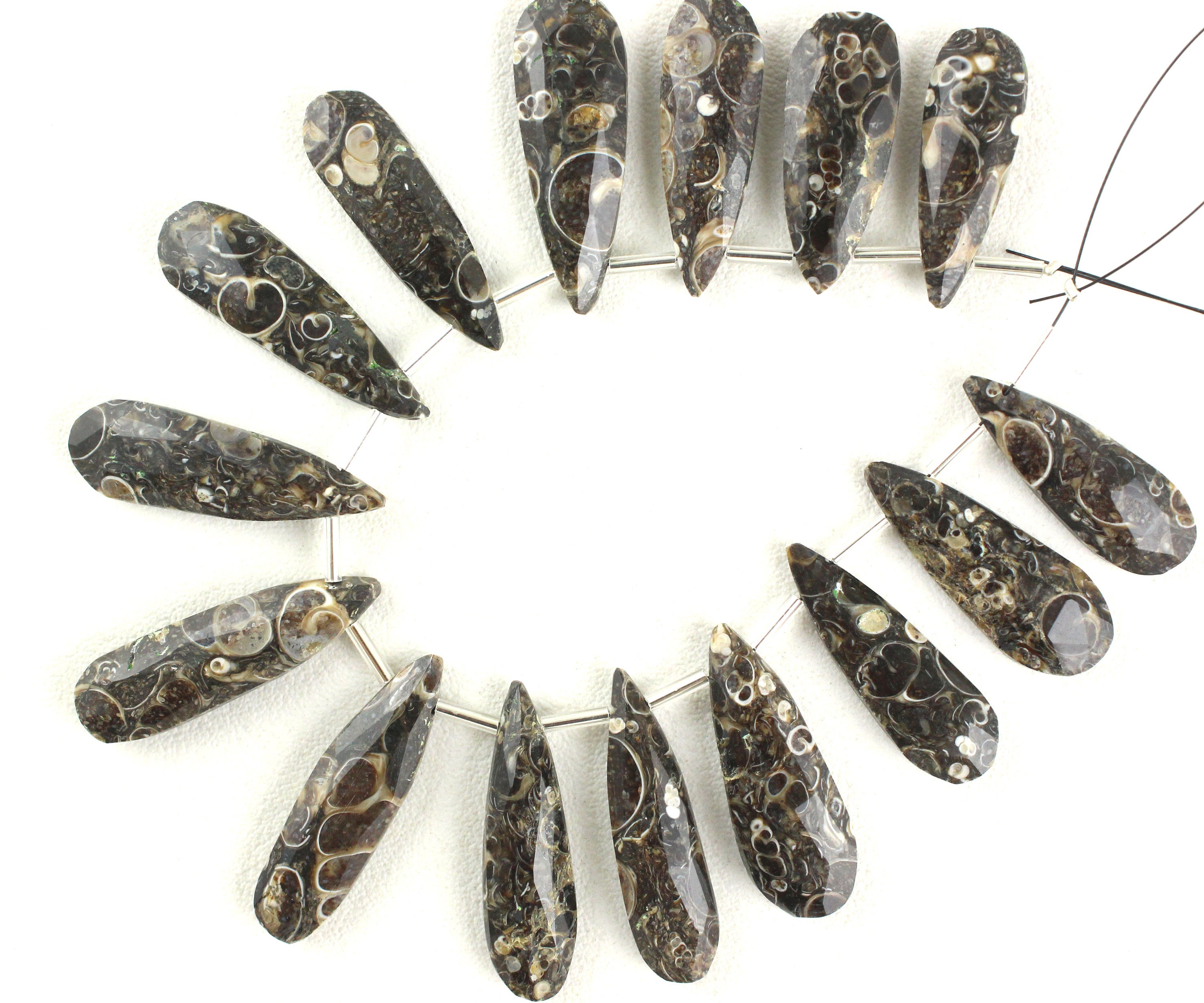 Faceted Pear Turritella Agate Briolette Beads: Natural Gemstone Strand
