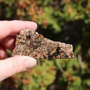 Turkish Stick Agate Polished*