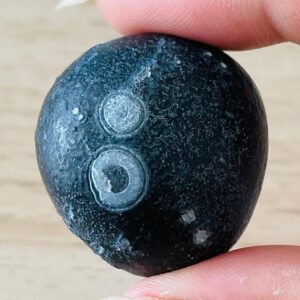 Black Gobi Eye Agate: Raw Mongolian Desert Gemstone (30.8G)