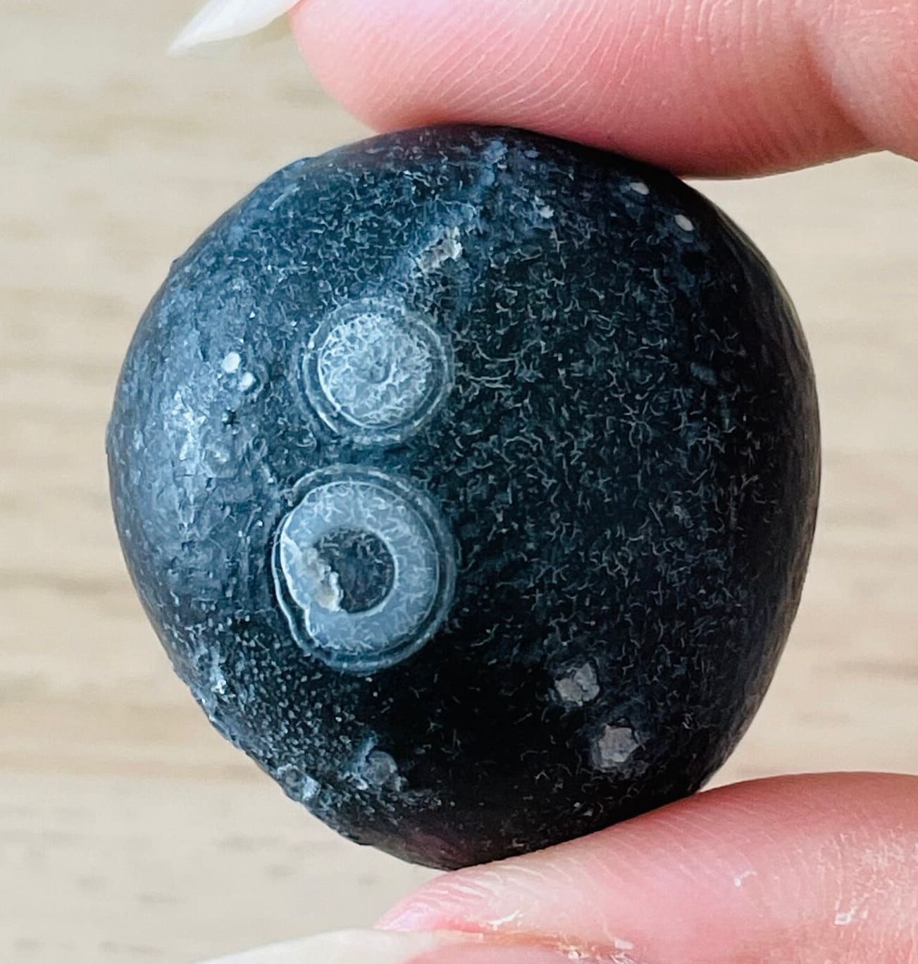 Black Gobi Eye Agate: Raw Mongolian Desert Gemstone (30.8g) Black Gobi Eye Agate: Raw Mongolian Desert Gemstone (30.8g)