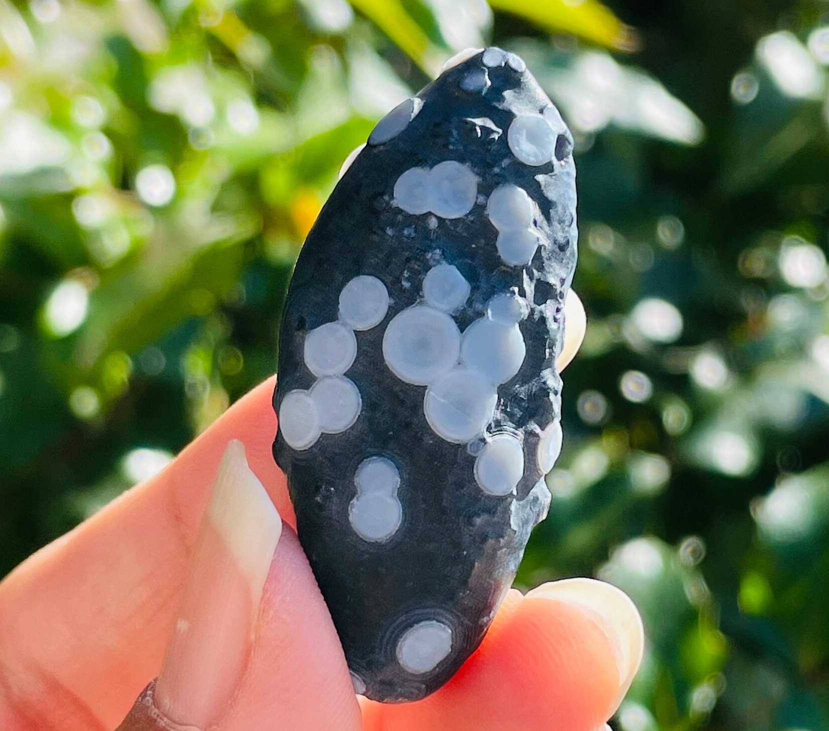 Black Gobi Eye Agate Stone: Raw Mongolia Crystal (20x45mm) 12.30g