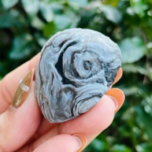 Gray Black Gobi Eye Agate: Raw Mongolia Desert Gemstone (38.7G)