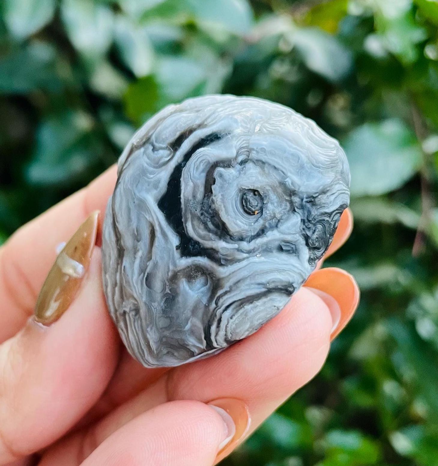 Gray Black Gobi Eye Agate: Raw Mongolia Desert Gemstone (38.7g)