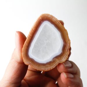 Laguna Agate Polished Geode - Sliced Agate Geode