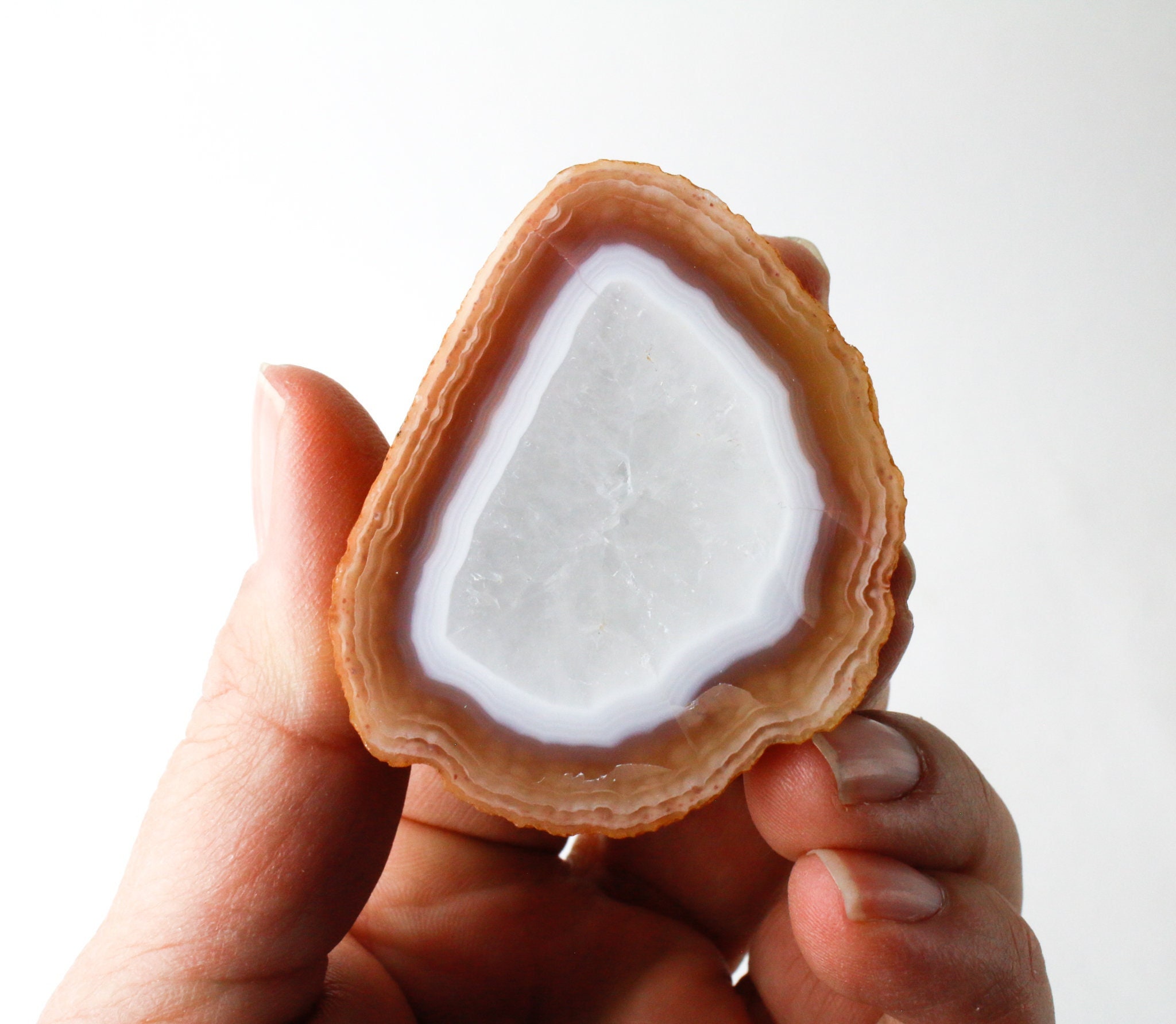 Laguna Agate Polished Geode - Sliced Agate Geode Laguna Agate Polished Geode - Sliced Agate Geode