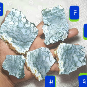 Natural Tree Agate Rough: Unpolished Gemstone Slices Slab Rock Chunk Specimens Raw Materials Agate