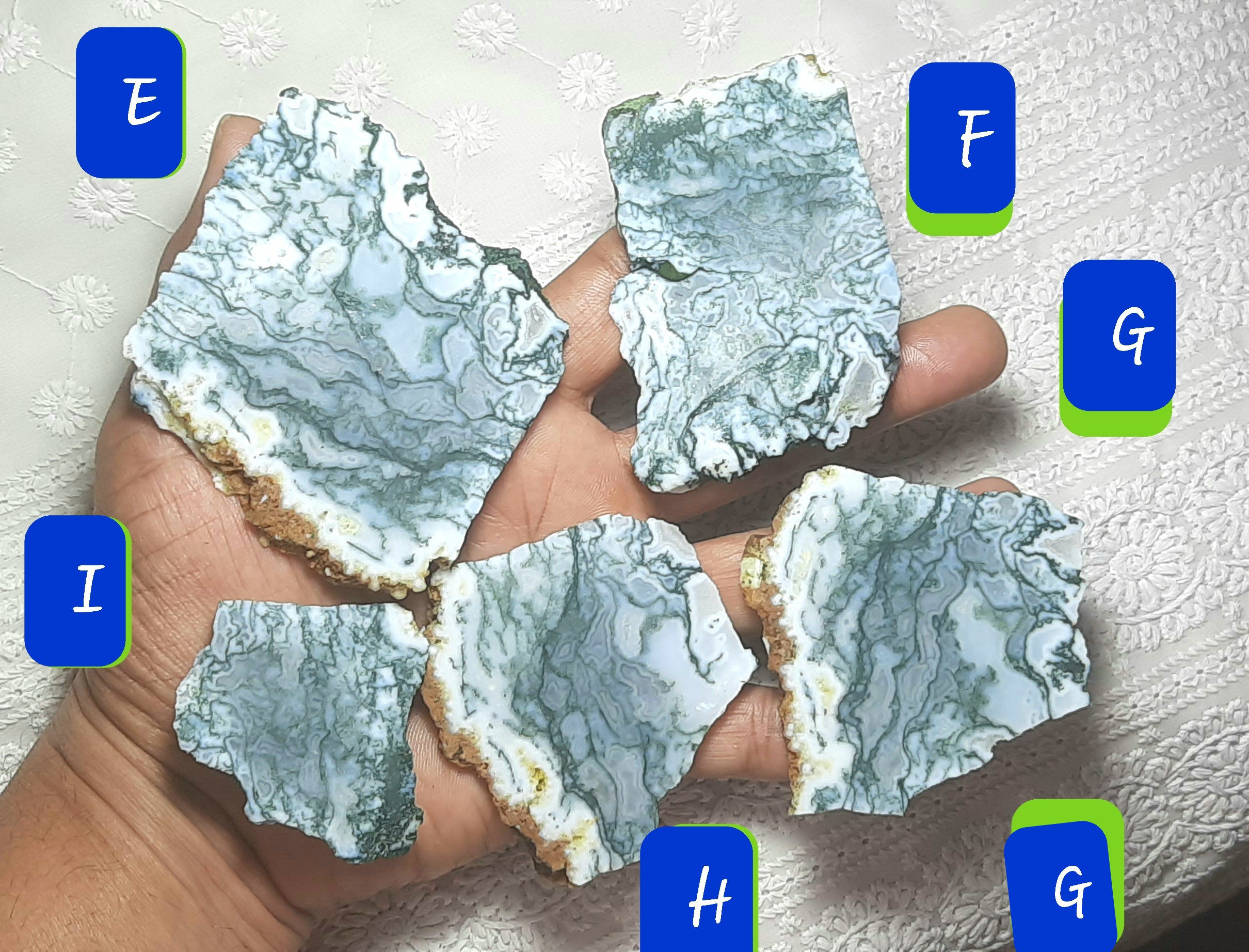 Natural Tree Agate Rough: Unpolished Gemstone Slices Slab Rock Chunk Specimens Raw Materials Agate