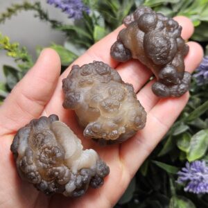 Panda Agate Crystal - Truffle Chalcedony Crystal - Panda Agate - Womb Stone - Chalcedony Raw - Natural Chalcedony - Brown Chalcedony