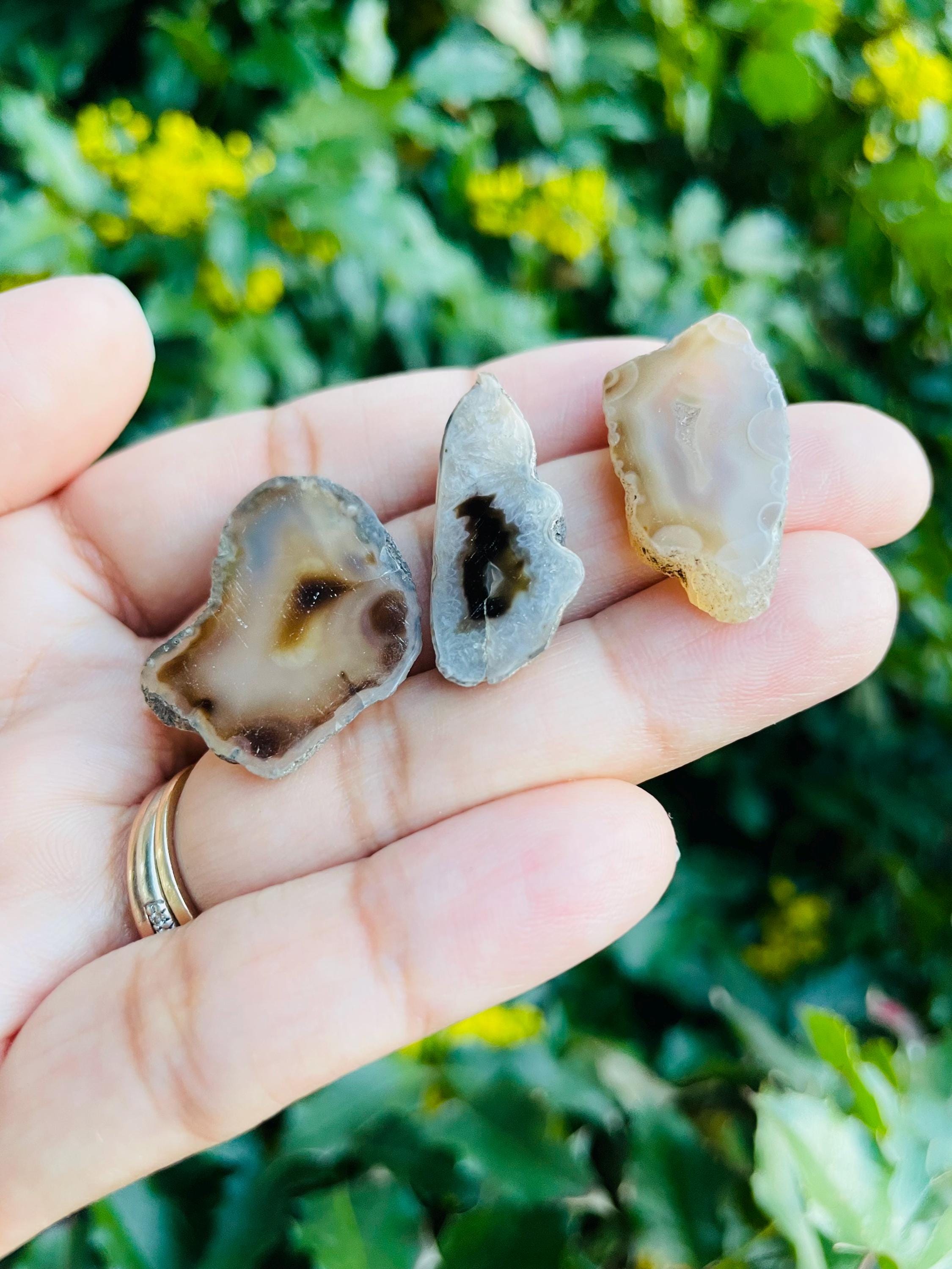 Agate Druzy Slice Lot: Polished Natural Gemstone Mini Slabs Lot (30-31mm) 10.3g