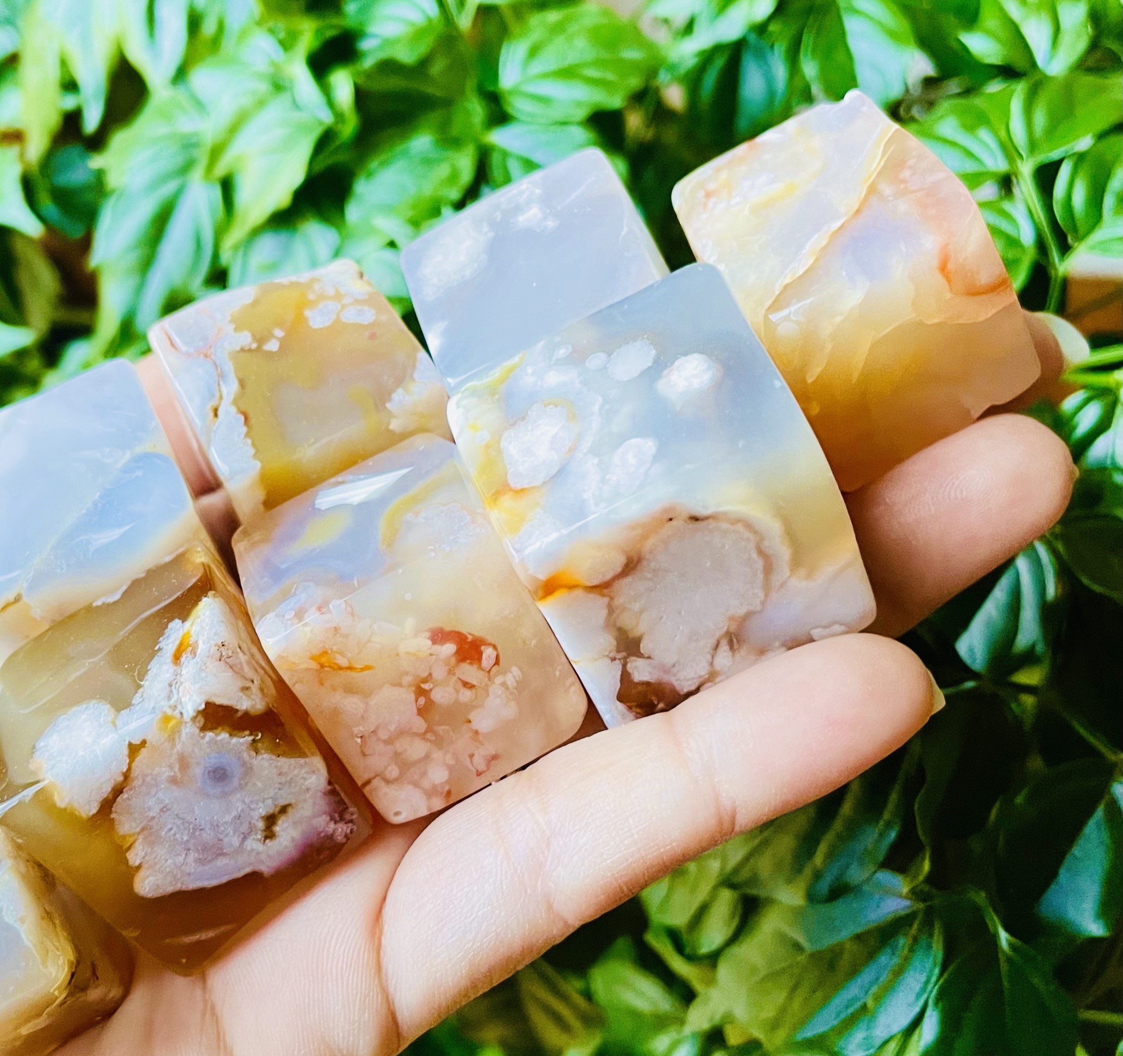 Flower Agate Crystal Cube: Xl Polished Cherry Blossom Stone