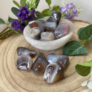 Botswana Agate Tumbled Stone 20-30mm Aquarius