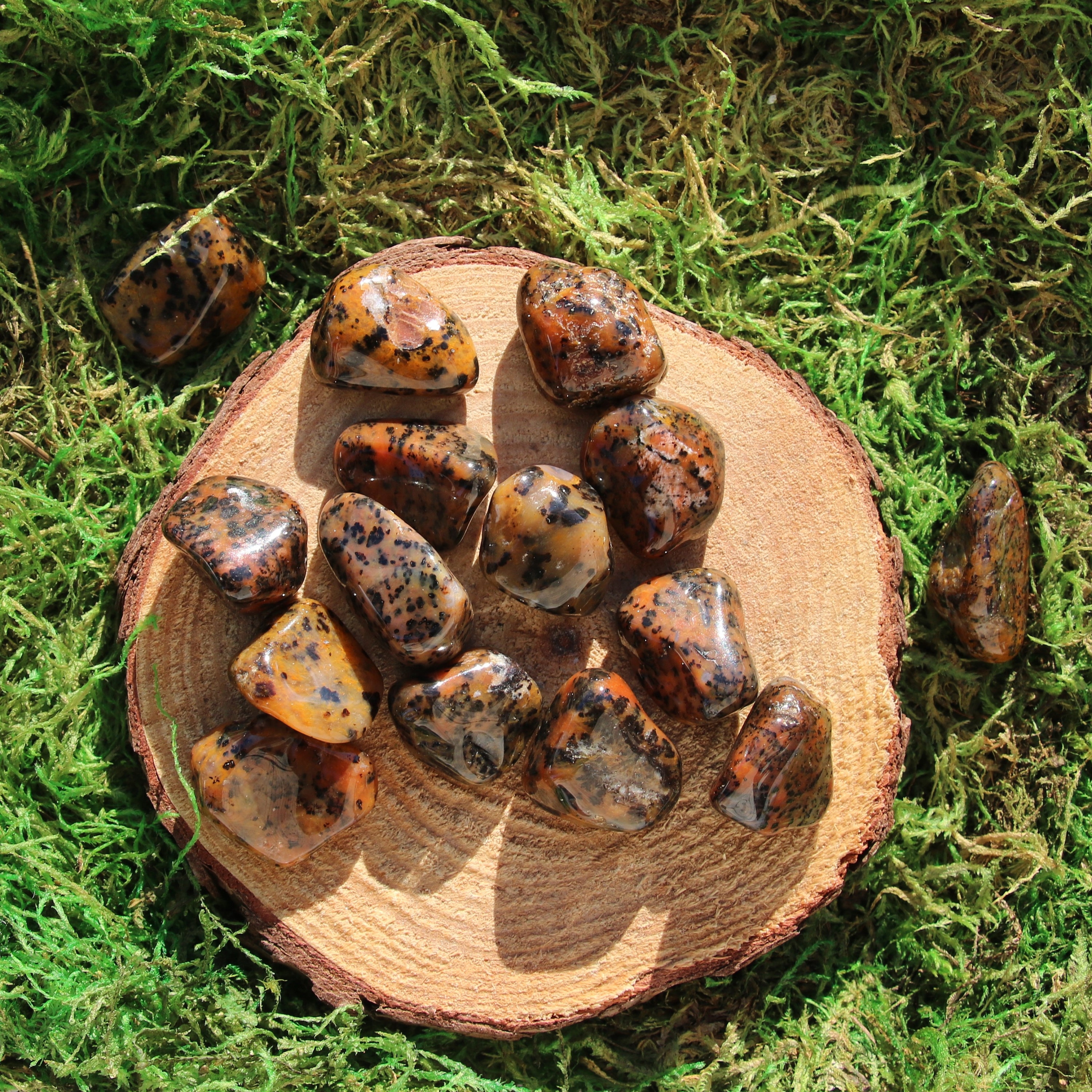 Cheetah Agate Tumbled And Polished