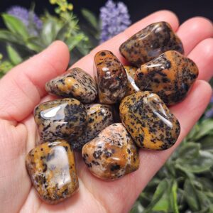 Cheetah Agate Stone - Agate Crystal - Brazilian Agate - Agate Stone - Agate Specimen - Cheetah Agate - Tumbled Agate - Polished Agate