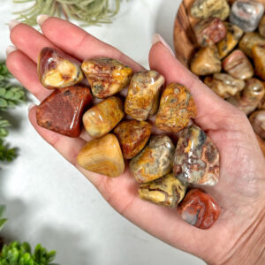 Crazy Lace Agate Tumble | S, L | - No. 310 (polished Red Crystal Pocket Stone, Sacral Chakra)