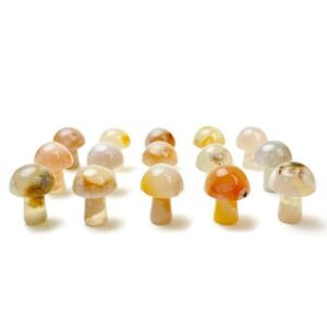 Flower Agate Mushroom: Tumbled Polished Crystal Stone (18-25mm)