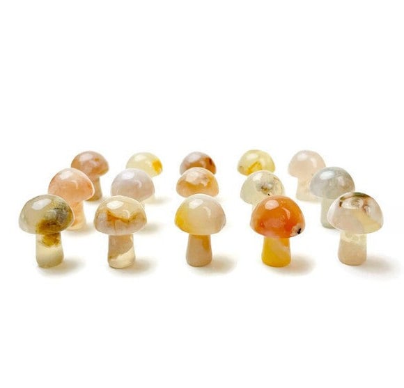 Flower Agate Mushroom: Tumbled Polished Crystal Stone (18-25mm) Flower Agate Mushroom: Tumbled Polished Crystal Stone (18-25mm)