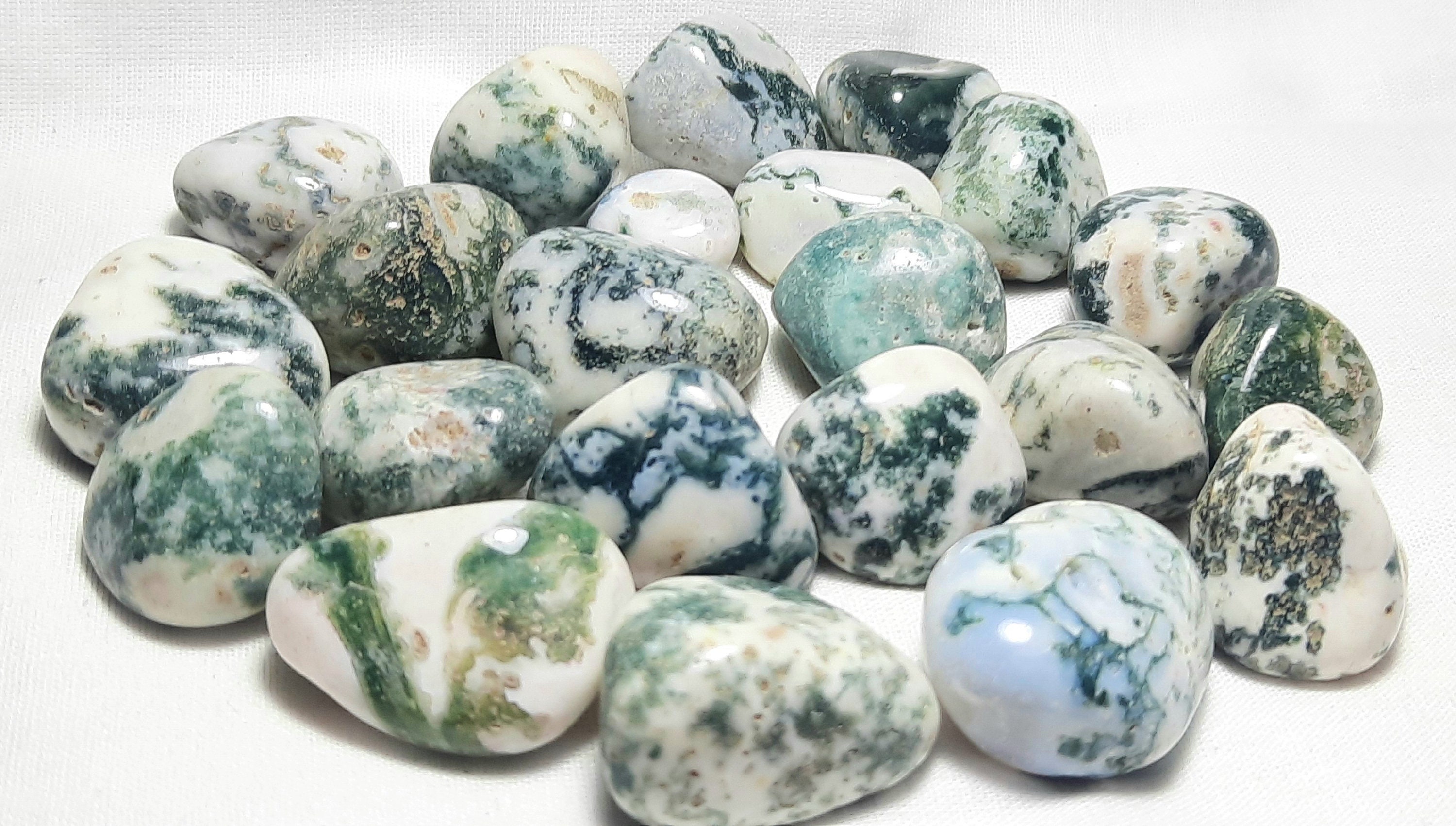 Polished Tree Agate Tumbled Stones: Healing Crystals