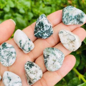 Tumbled Tree Agate Stones: Polished Green White Crystals (set Of 3)