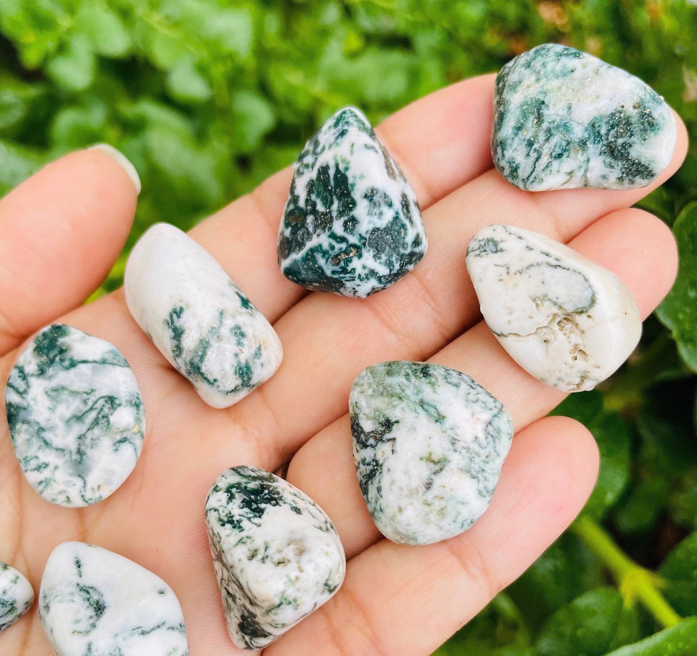 Tumbled Tree Agate Stones: Polished Green White Crystals (set Of 3)