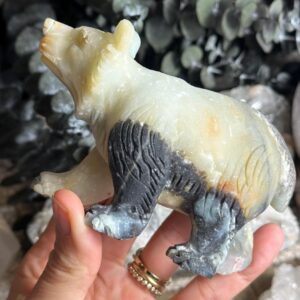 5” Amazonite Bear Carving