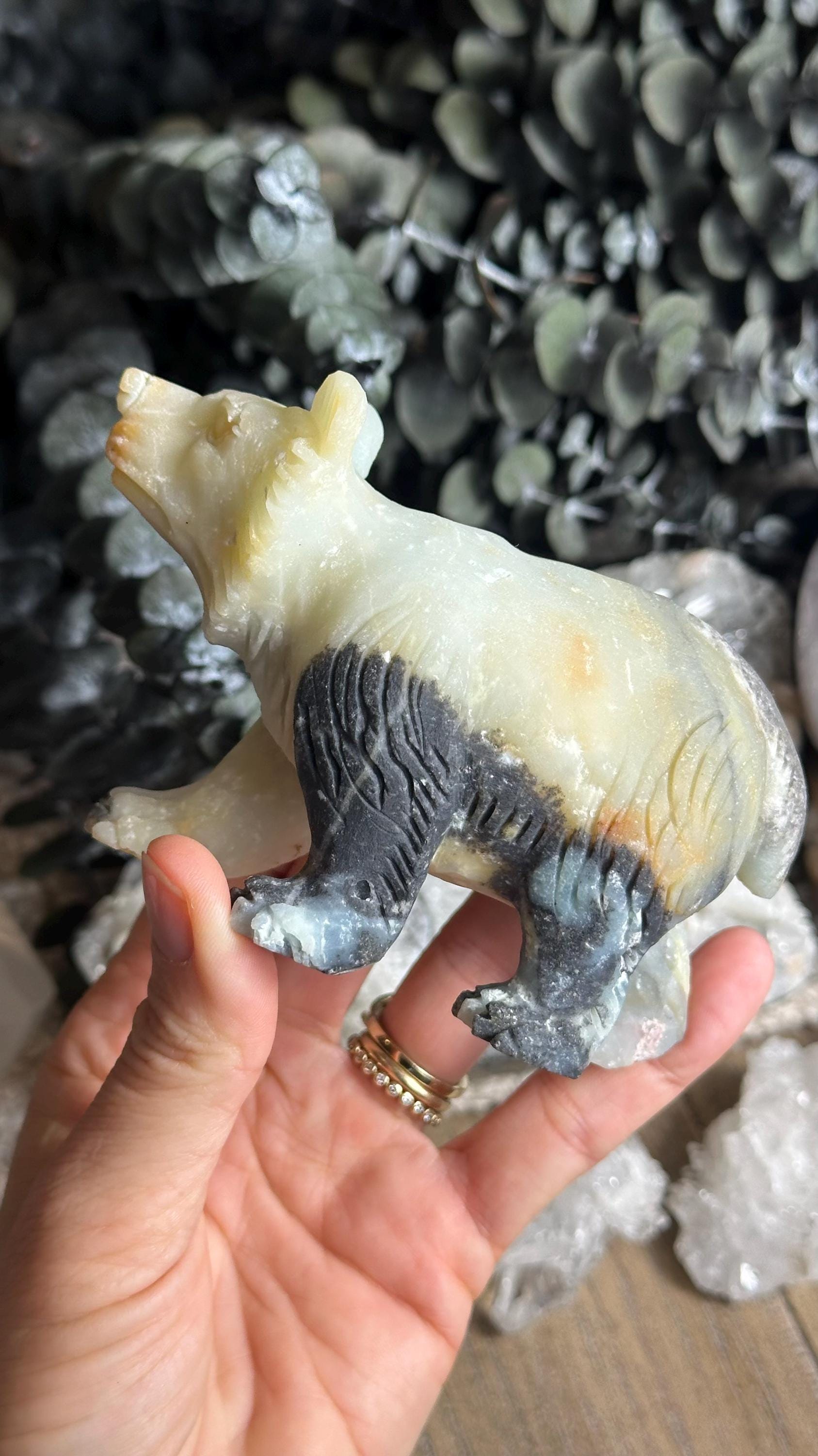 5” Amazonite Bear Carving