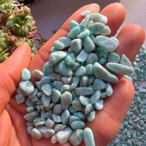 20g Mini Tumbled Amazonite Crystals