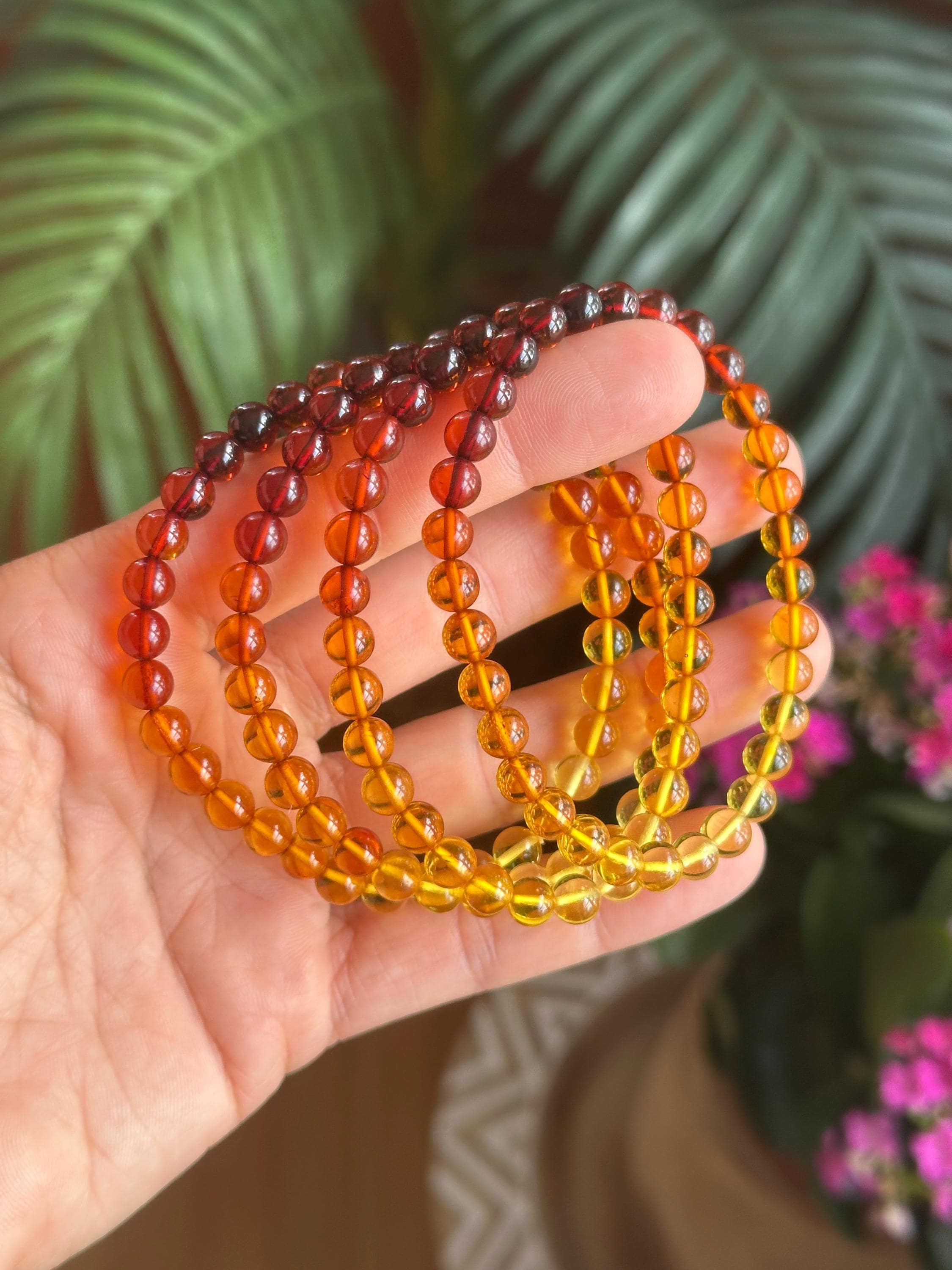 Ombré Baltic Cognac Amber Bracelet 6mm