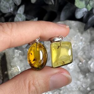 Baltic Amber with Insect Inclusions .925 Sterling Silver Necklace