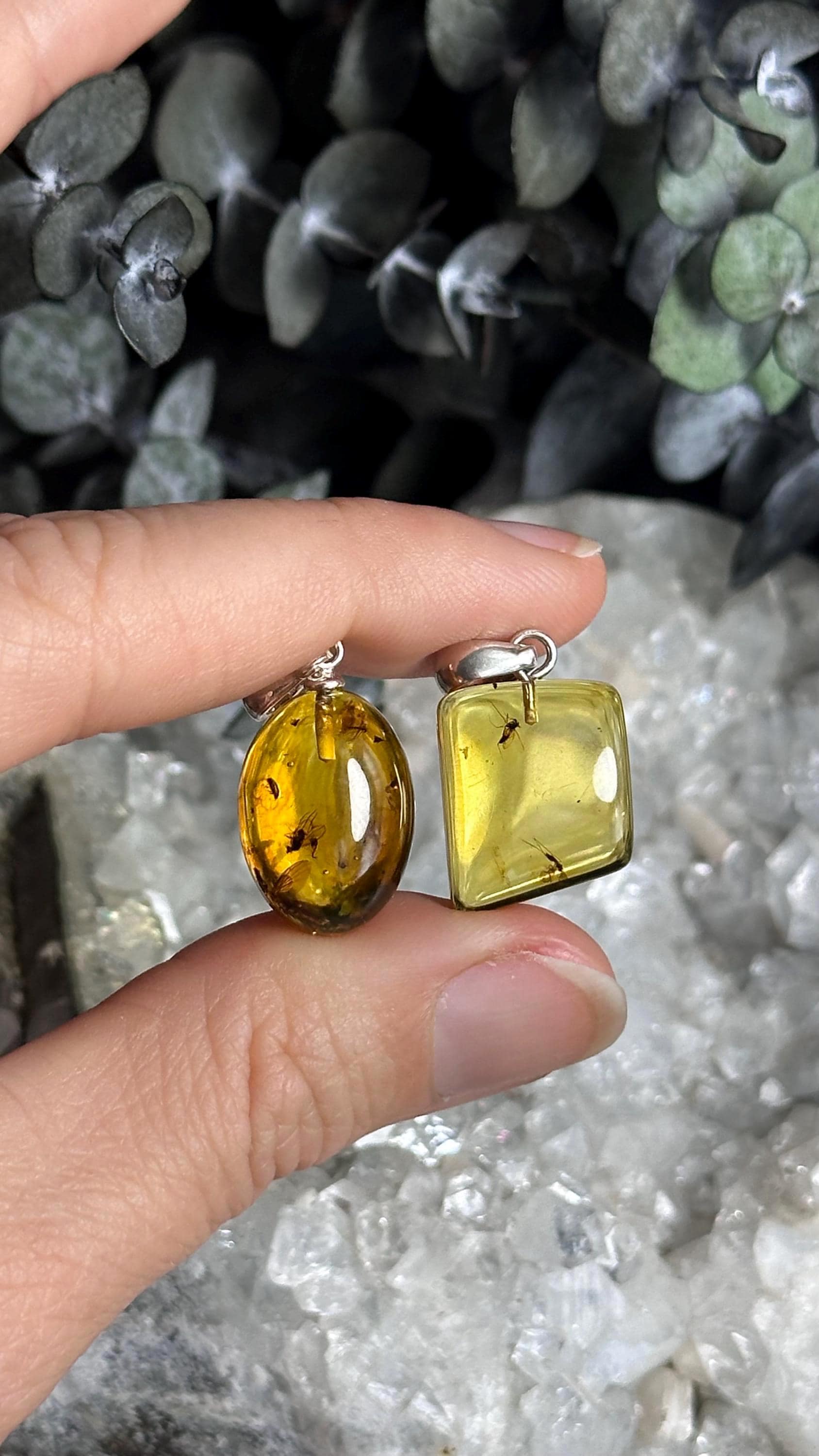 Baltic Amber With Insect Inclusions .925 Sterling Silver Necklace