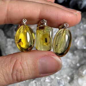 Baltic Amber with Insect Inclusions .925 Sterling Silver Necklace