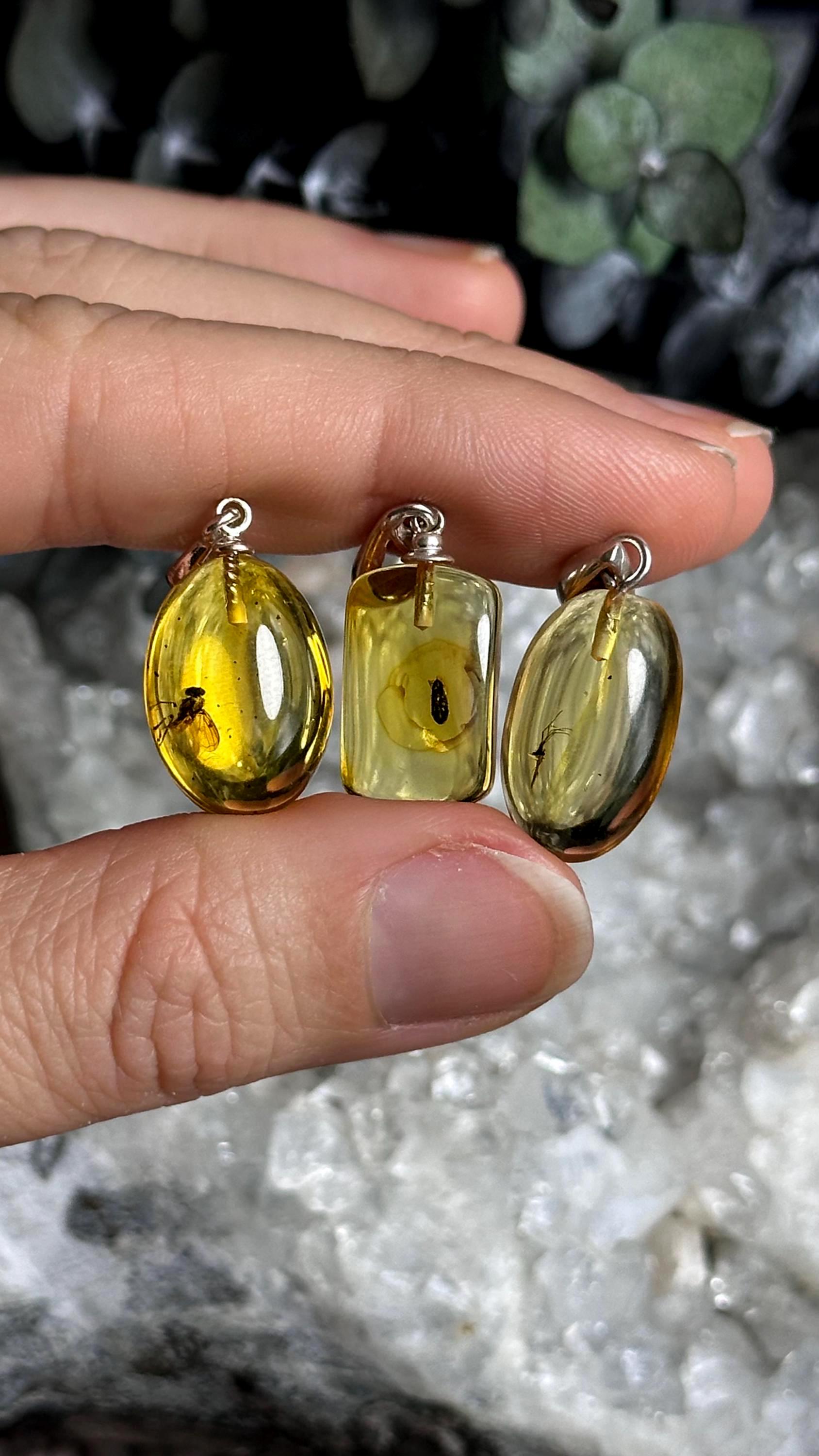 Baltic Amber With Insect Inclusions .925 Sterling Silver Necklace