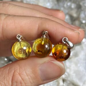 Baltic Amber with Insect Inclusions .925 Sterling Silver Necklace