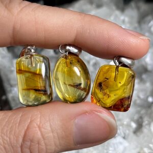 Baltic Amber with Insect Inclusions .925 Sterling Silver Necklace